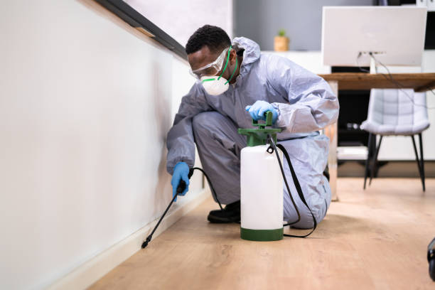 Real Estate Pest Inspections in Fairless Hills, PA